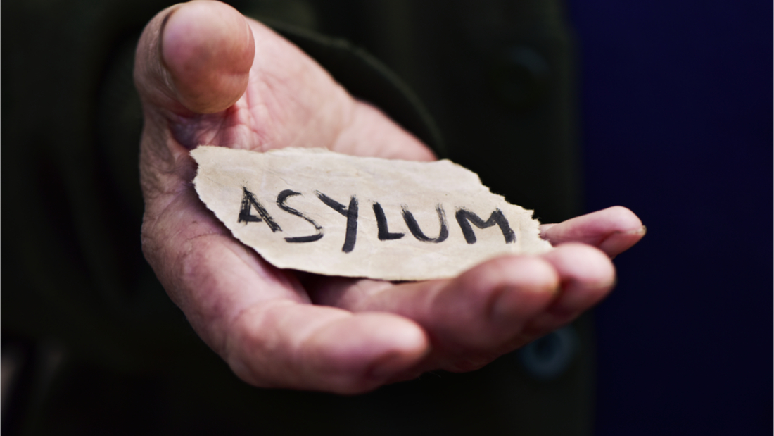 Read more about the article Asylum